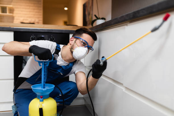 Best Best Pest Control Companies  in Southmayd, TX