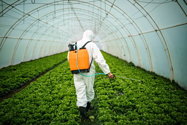 Best Pest Prevention Services  in Southmayd, TX
