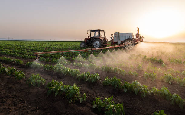 Best Commercial Pest Control Services  in Southmayd, TX