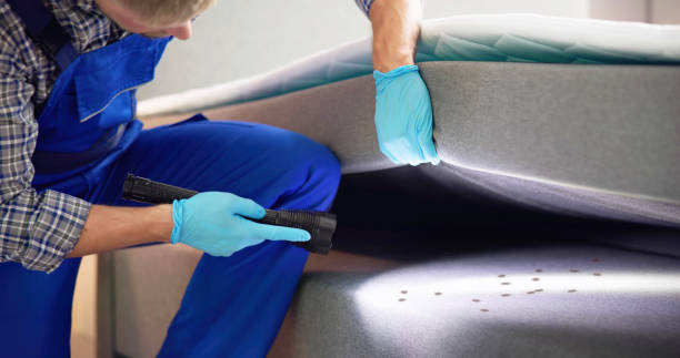 Pest Control for Restaurants in Southmayd, TX
