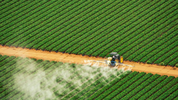 Best Pest Inspection Near Me  in Southmayd, TX